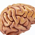 What is biohacking wikipedia?